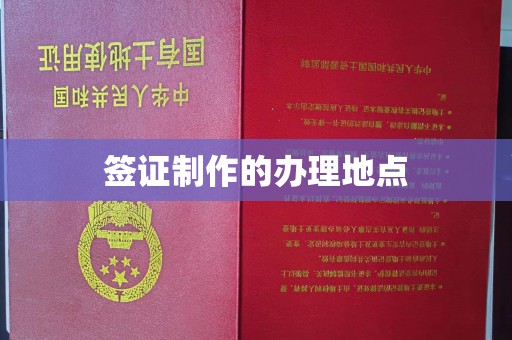 工农签证制作的办理地点